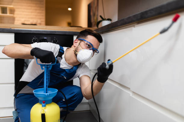 Best Pest Control Treatment  in Yorktown, IN