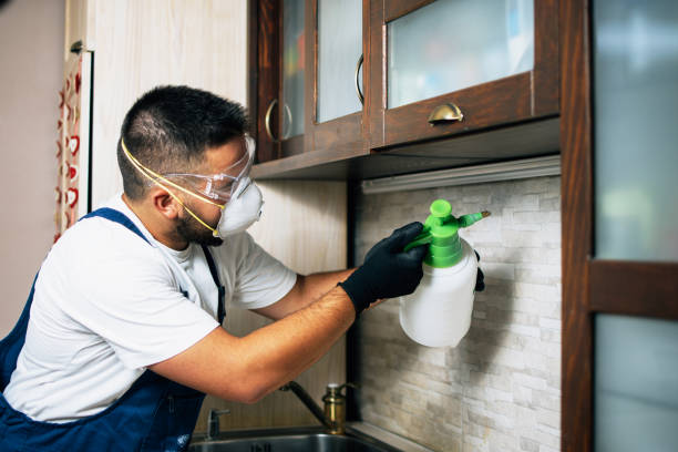 Best Mosquito Control Services  in Yorktown, IN
