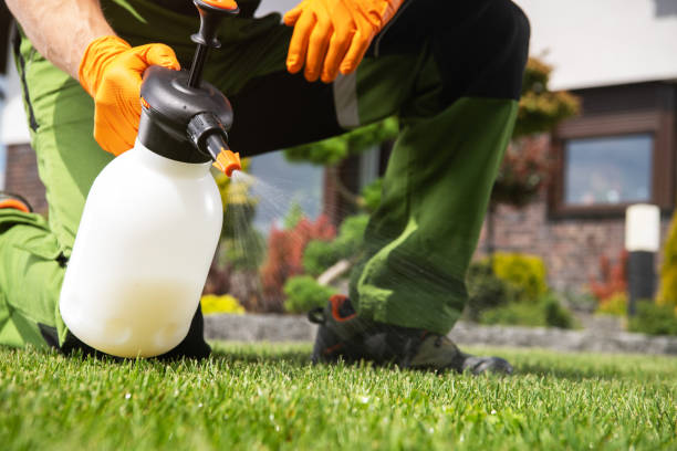 Best Pest Control for Businesses  in Yorktown, IN